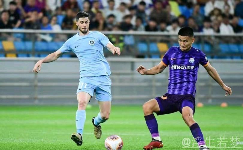 深圳新鹏城凭杜加利奇头球击败天津津门虎 深圳新鹏城凭杜加利奇头球击败天津津门虎