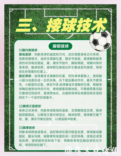 全面解析世界杯体育平台的功能与优势